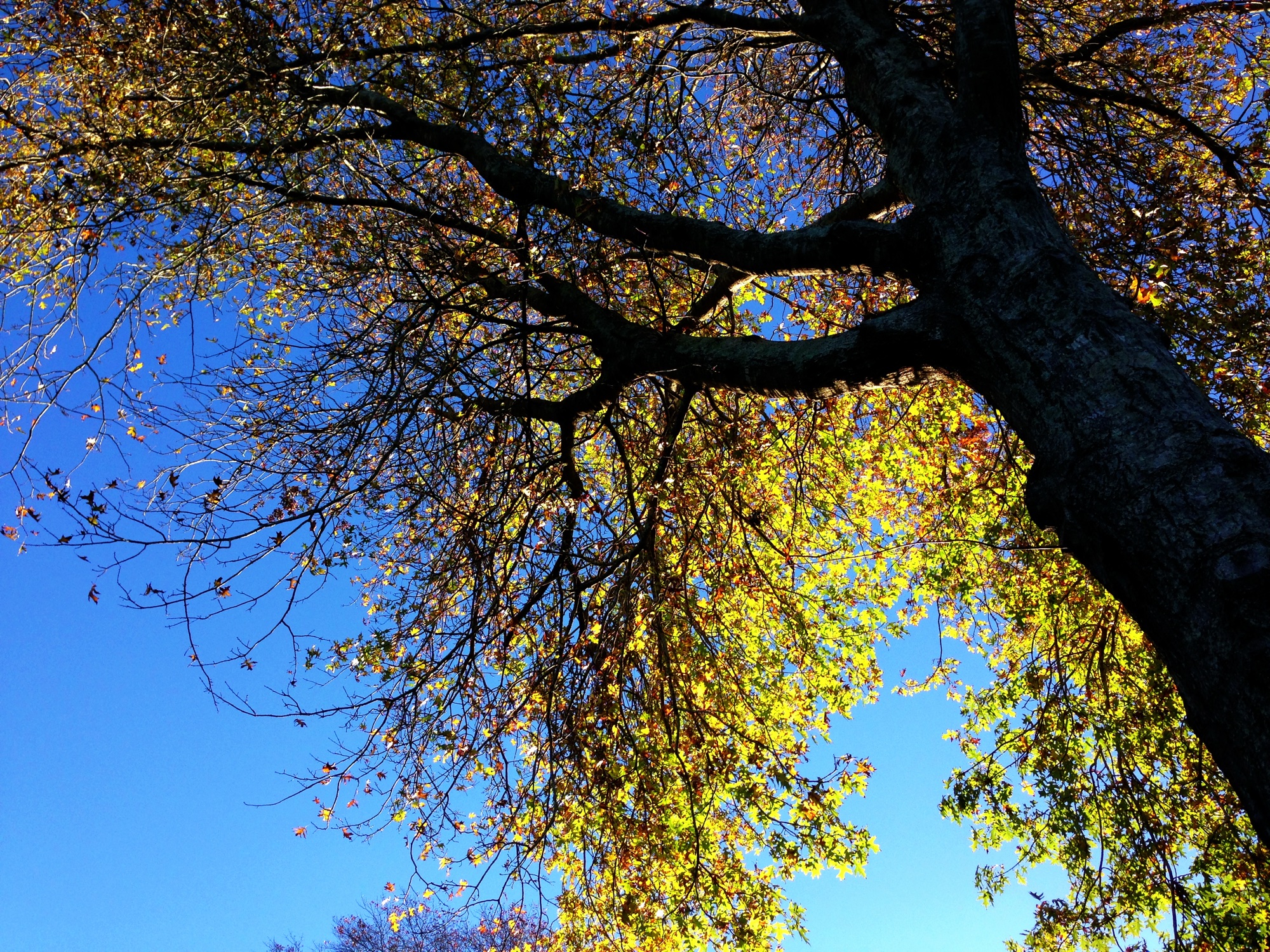Autumn photograph 2 of 7