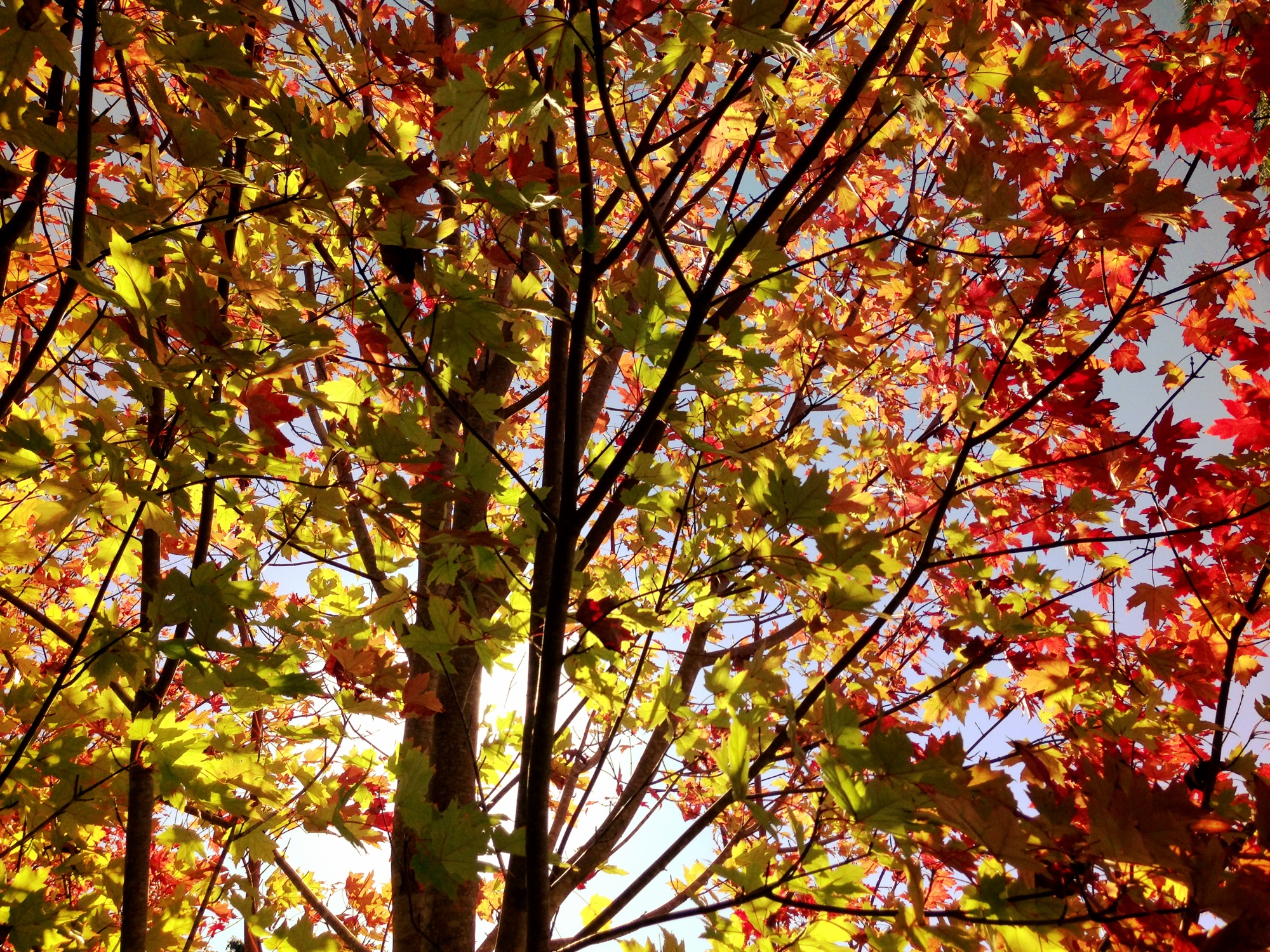 Autumn photograph 1 of 7