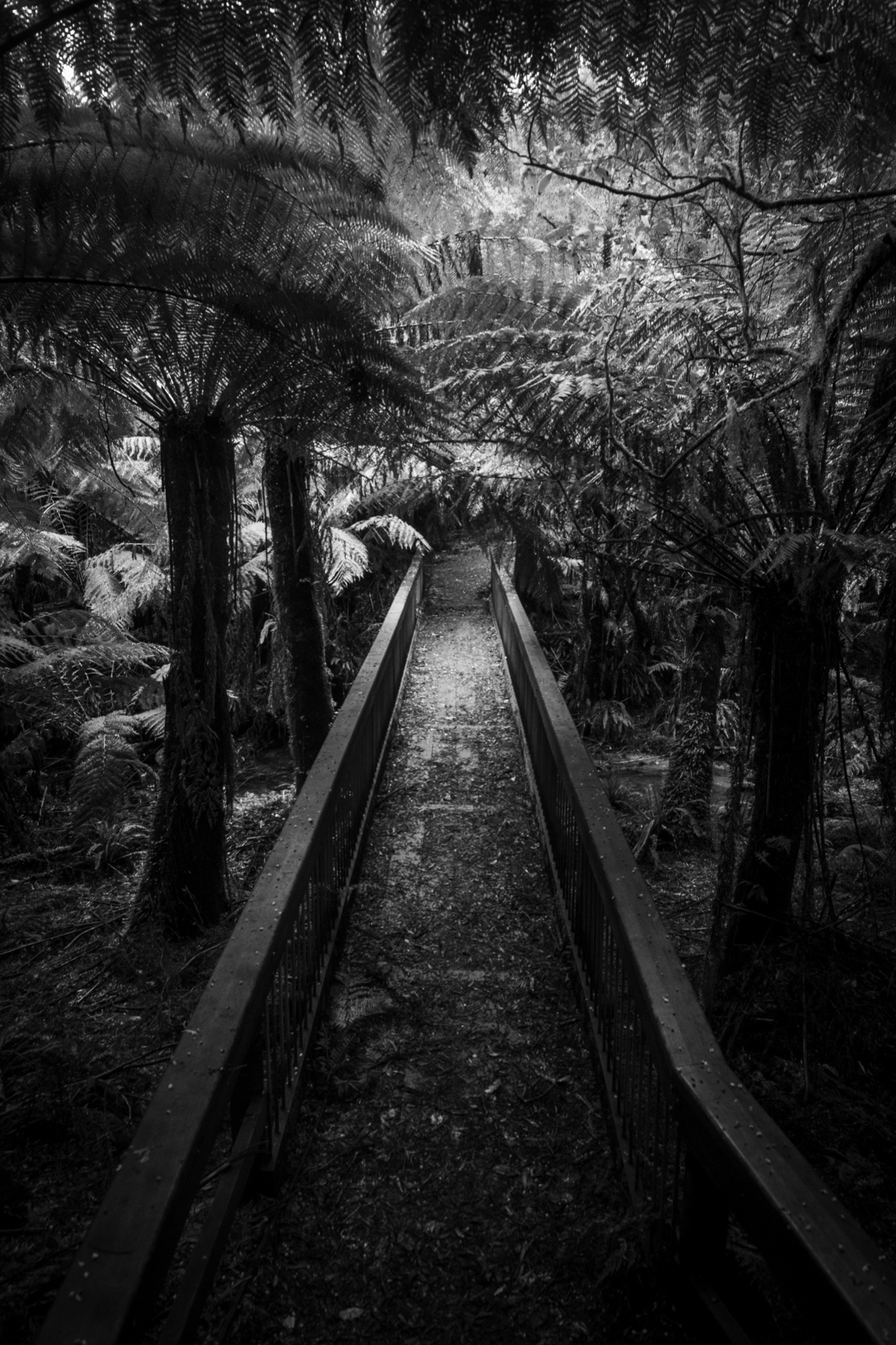 Monochrome photograph 41 of 43