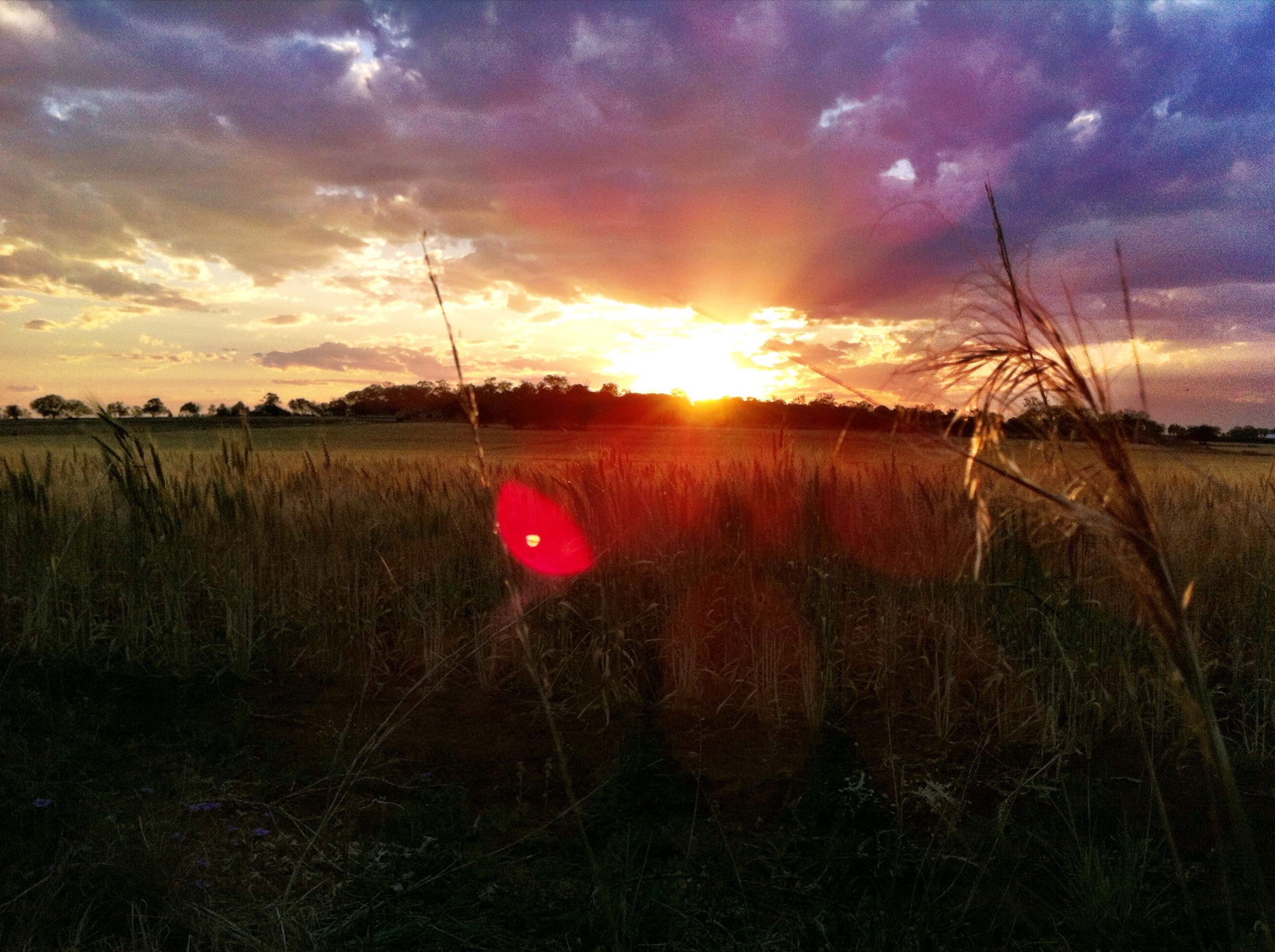 Sunset photograph 17 of 25